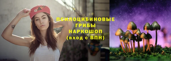 тгк Кинешма