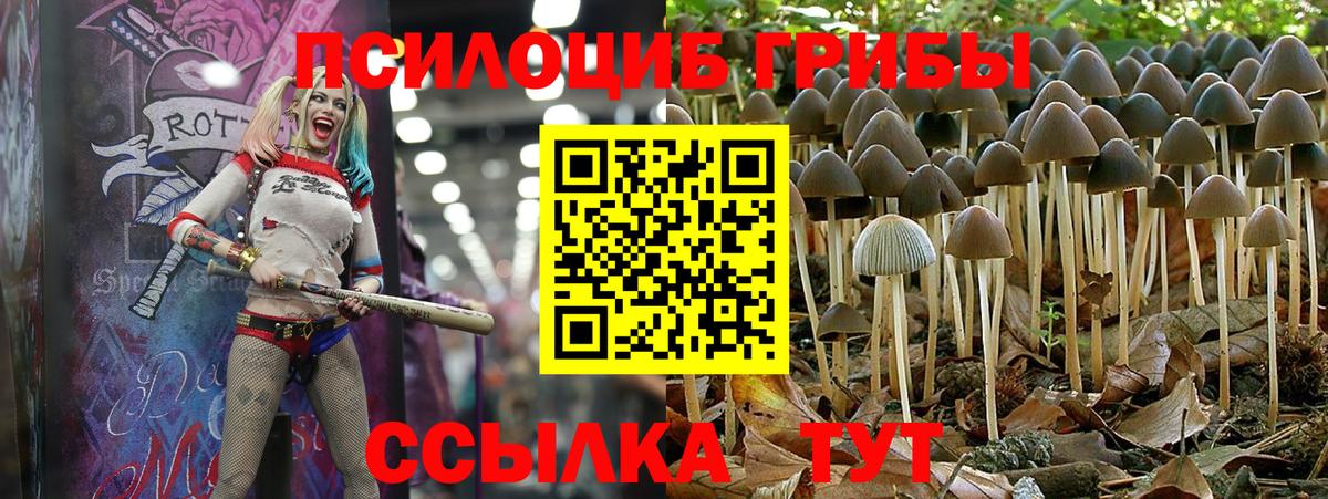 Галлюциногенные грибы прущие грибы  Вход с VPN  Петрозаводск 
