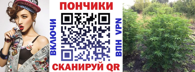 Каннабис сатива Петрозаводск